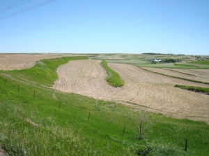 An example of terracing in an agricultural field. These are the areas targeted in the PFA project.