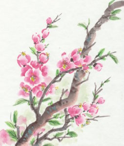 plum-blossoms
